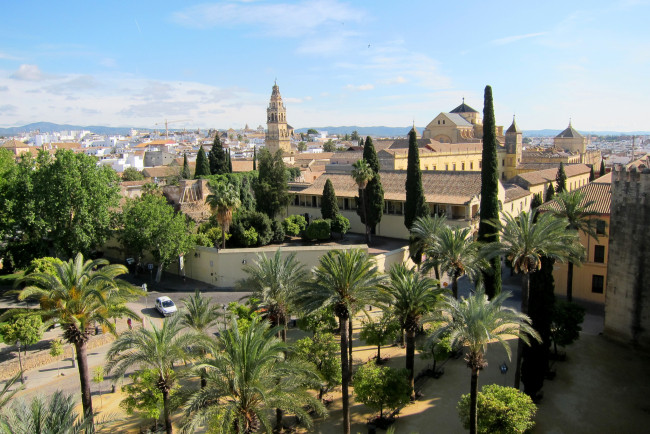 Обои картинки фото города, - улицы,  площади,  набережные, пальмы, дома, испания, улица, cordoue