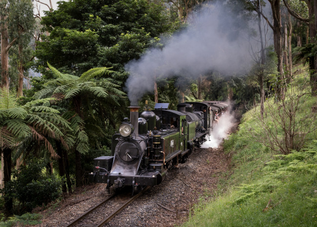 Обои картинки фото техника, паровозы, железная, дорога, рельсы, паровоз