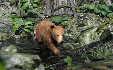 Картинка 3д+графика животные+ animals медвежонок фон