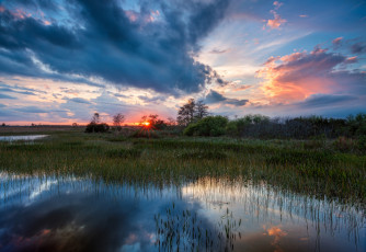 Картинка природа реки озера лес река