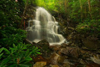 Картинка природа водопады водопад река лес