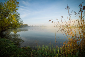 Картинка природа реки озера лес река