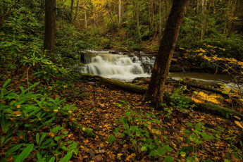 Картинка природа водопады водопад река лес