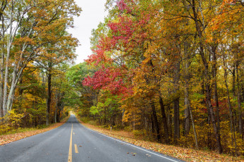 Картинка природа дороги тракт