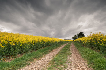 Картинка природа дороги тракт