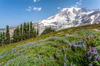 Картинка природа горы простор