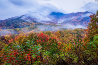 Картинка природа горы простор