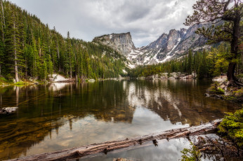 Картинка природа реки озера лес река