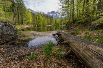 Картинка природа реки озера лес река