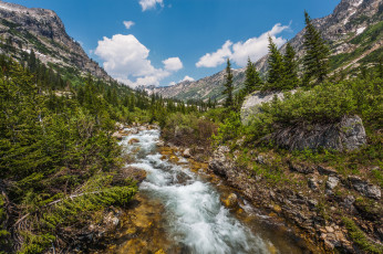 Картинка природа реки озера река лес