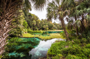 Картинка природа реки озера река лес