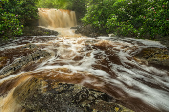 Картинка природа водопады лес река водопад