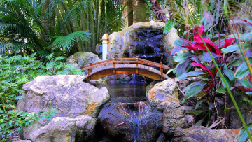 Картинка природа парк японский сад