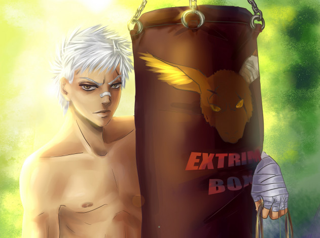 Обои картинки фото аниме, katekyo hitman reborn, рёхей