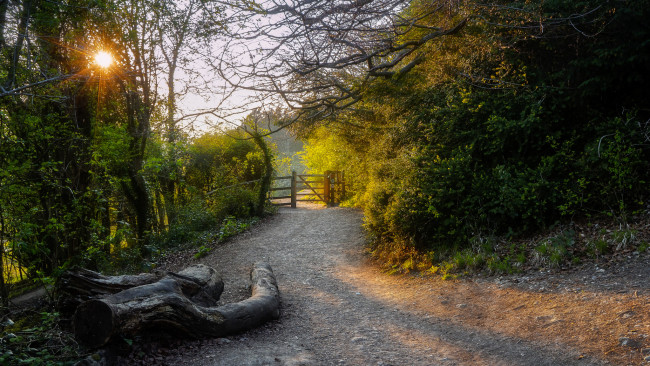 Обои картинки фото природа, дороги, тракт