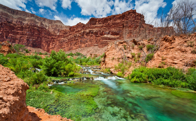 Обои картинки фото природа, реки, озера, река, лес