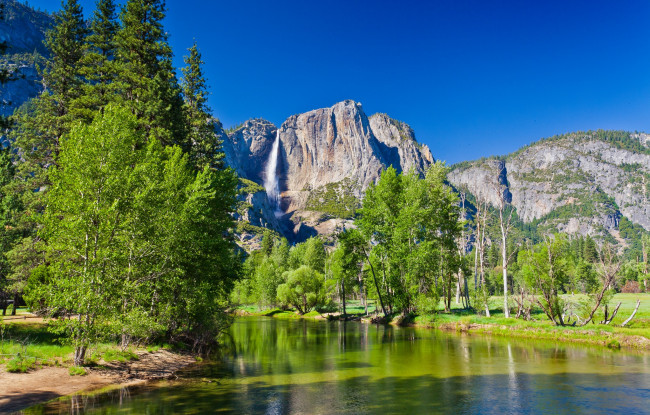 Обои картинки фото природа, реки, озера, река, лес