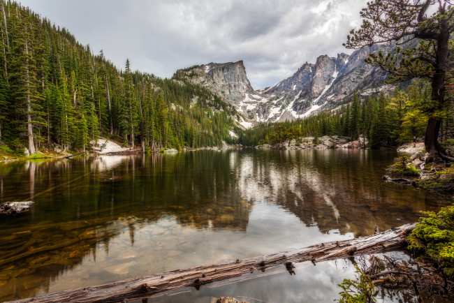 Обои картинки фото природа, реки, озера, лес, река