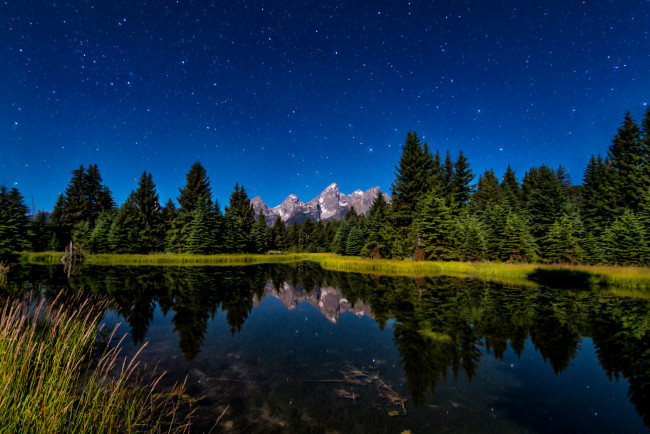 Обои картинки фото природа, реки, озера, лес, река