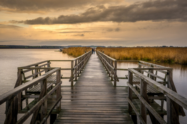 Обои картинки фото природа, реки, озера, река, лес