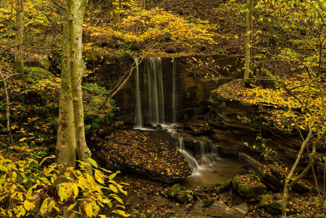 Обои картинки фото природа, водопады, лес, река, водопад