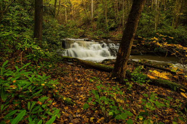 Обои картинки фото природа, водопады, водопад, река, лес