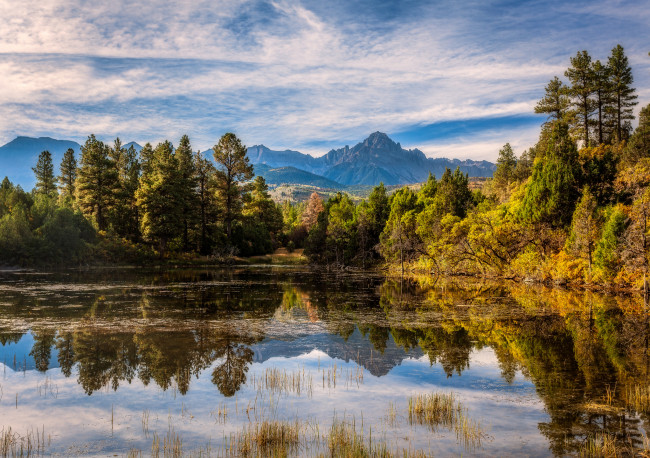 Обои картинки фото природа, реки, озера, лес, река