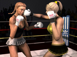 обоя 3д графика, спорт , sport, бокс, ринг, фон, взгляд, девушки