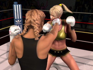 Картинка 3д+графика спорт+ sport фон взгляд бокс ринг девушки