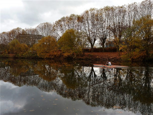 Картинка природа реки озера лес осень деревья водоем