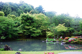 Картинка природа парк пруд