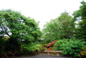 Картинка природа парк скамейка