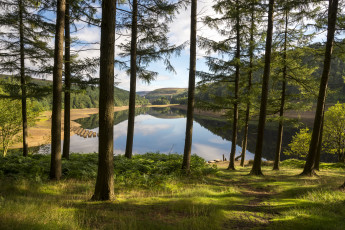 Картинка природа реки озера простор