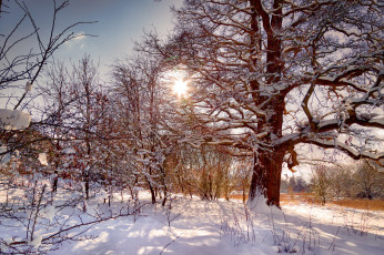 Картинка природа зима простор