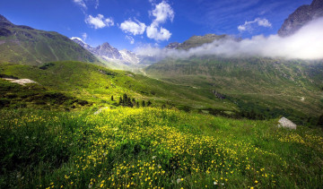 Картинка природа луга лютики луг облака горы