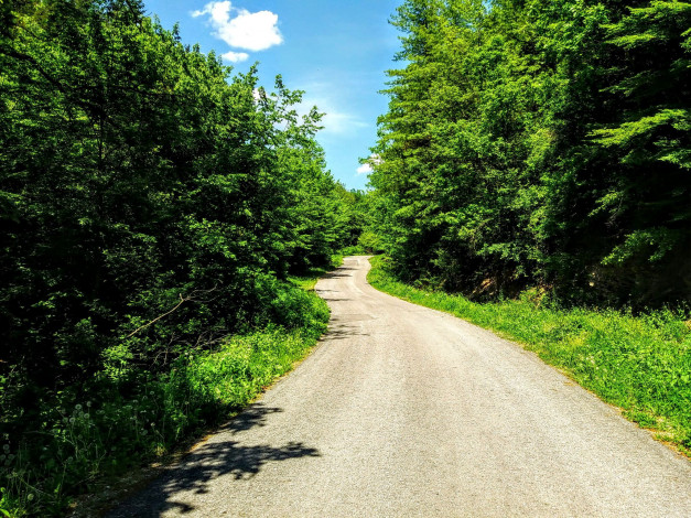 Обои картинки фото природа, дороги, дорога, проселочная
