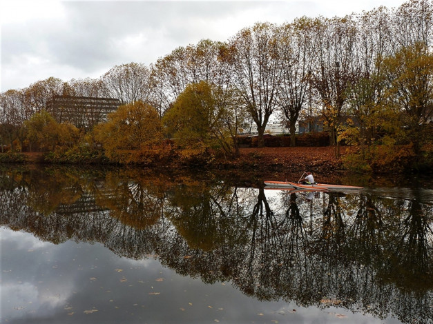 Обои картинки фото природа, реки, озера, лес, осень, деревья, водоем