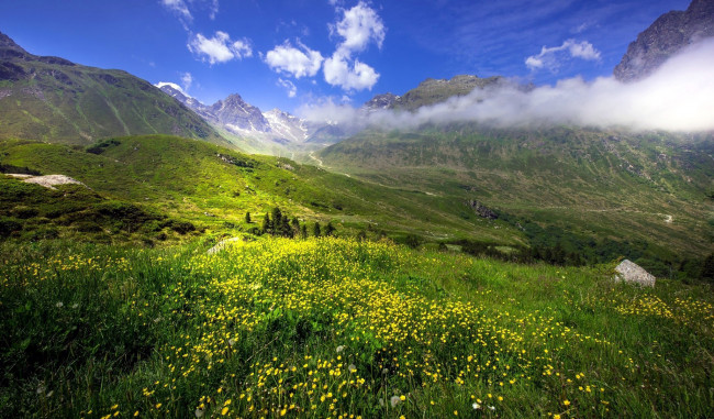 Обои картинки фото природа, луга, лютики, луг, облака, горы