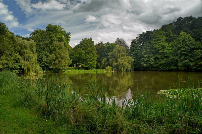 Обои картинки фото природа, реки, озера, водоем, лето, деревья, озеро