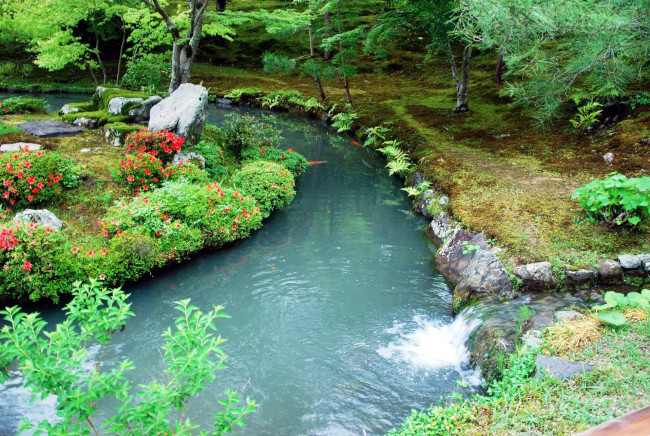 Обои картинки фото природа, парк, пруд