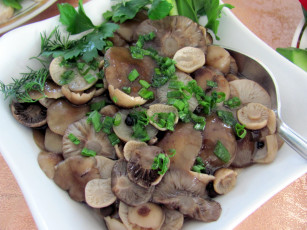 Картинка еда грибы +грибные+блюда маринованные опята