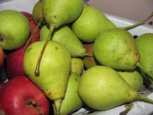 обоя еда, груши