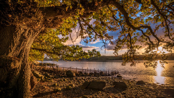 Картинка природа реки озера простор