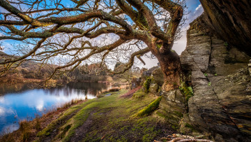 Картинка природа реки озера простор