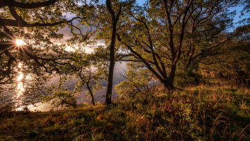 Картинка природа реки озера простор