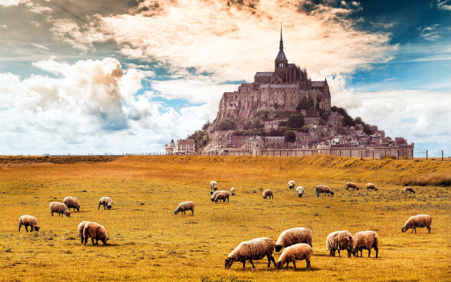 Обои картинки фото города, крепость мон-сен-мишель , франция, крепость