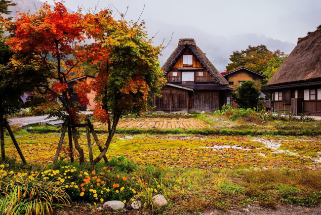 Обои картинки фото города, - здания,  дома, осень