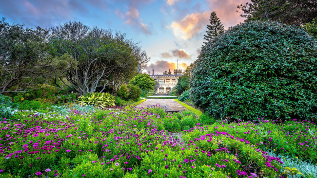 Обои картинки фото природа, парк, клумбы, цветущие, кусты