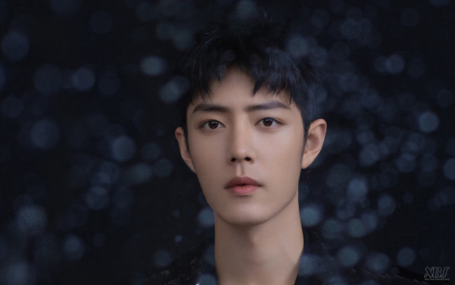 Обои картинки фото мужчины, xiao zhan, актер, лицо