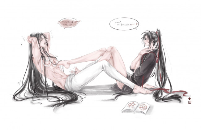 Обои картинки фото аниме, mo dao zu shi, лань, ванцзи, вэй, усянь, книга, зарядка